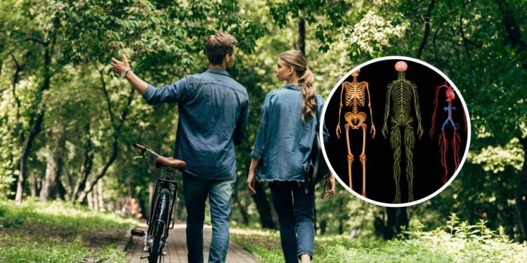 O que o seu jeito de caminhar pode revelar sobre a sua saúde