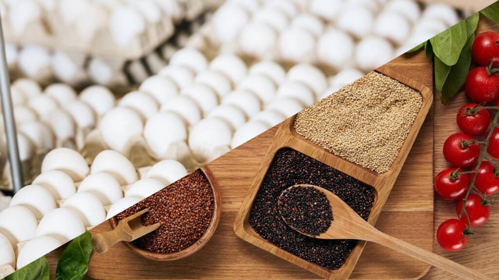 8 trocas que você deveria fazer na sua alimentação para ter mais proteína