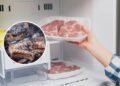 Quanto tempo realmente dura a carne no congelador
