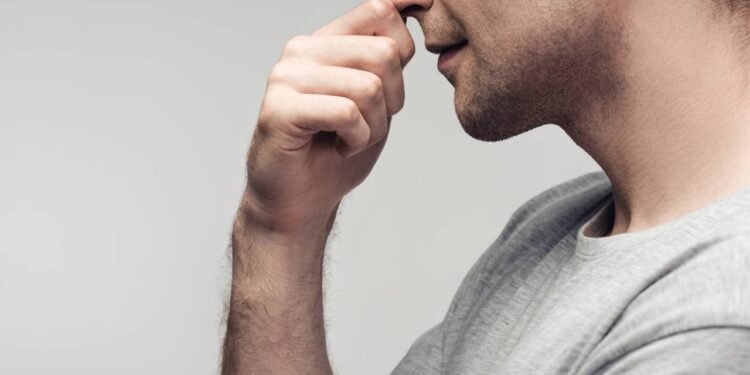 Por que criamos “melecas” ou "catotas" dentro do nariz?