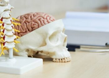 Dr. Baltazar Leao, Neurocirurgião: microneurocirurgia é o futuro do tratamento cerebral