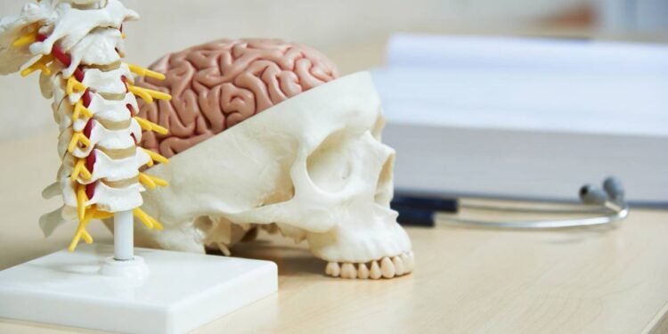 Microneurocirurgia - Créditos: depositphotos.com / srikijt