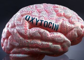 Para que serve hormônio do amor no corpo humano?