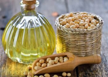 O óleo que pode estar fazendo seu peso aumentar sem você perceber