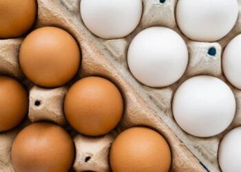 Só descobri isso aos 50 anos: quase ninguém sabe a diferença entre ovos brancos e marrons