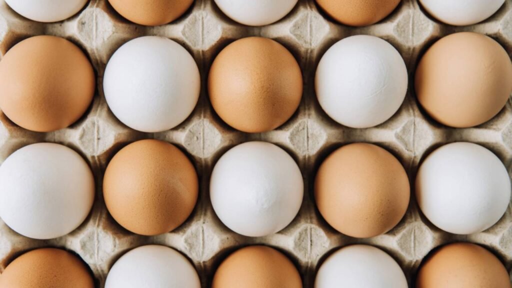 Qual é a diferença entre ovos marrons e brancos?