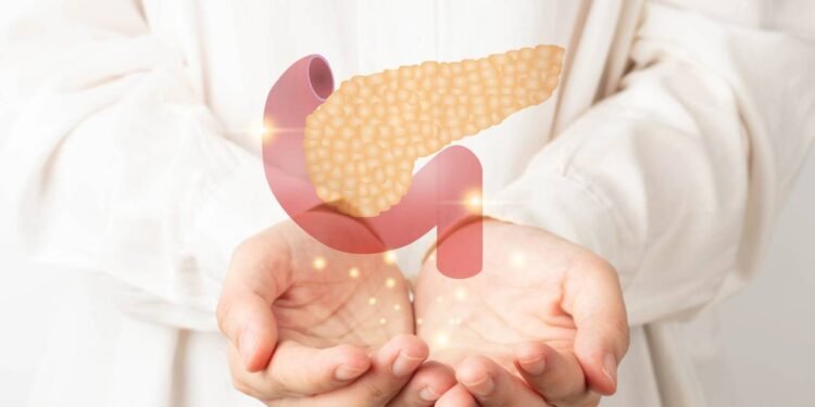 O envelhecimento começa no pâncreas, então evitar esses 3 hábitos é crucial