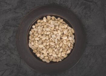 Comer amendoim todos os dias pode melhorar sua memória e foco segundo especialistas