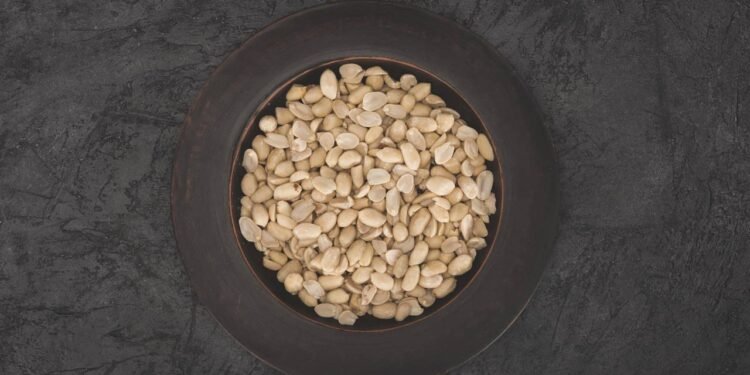 Comer amendoim todos os dias pode melhorar sua memória e foco segundo especialistas