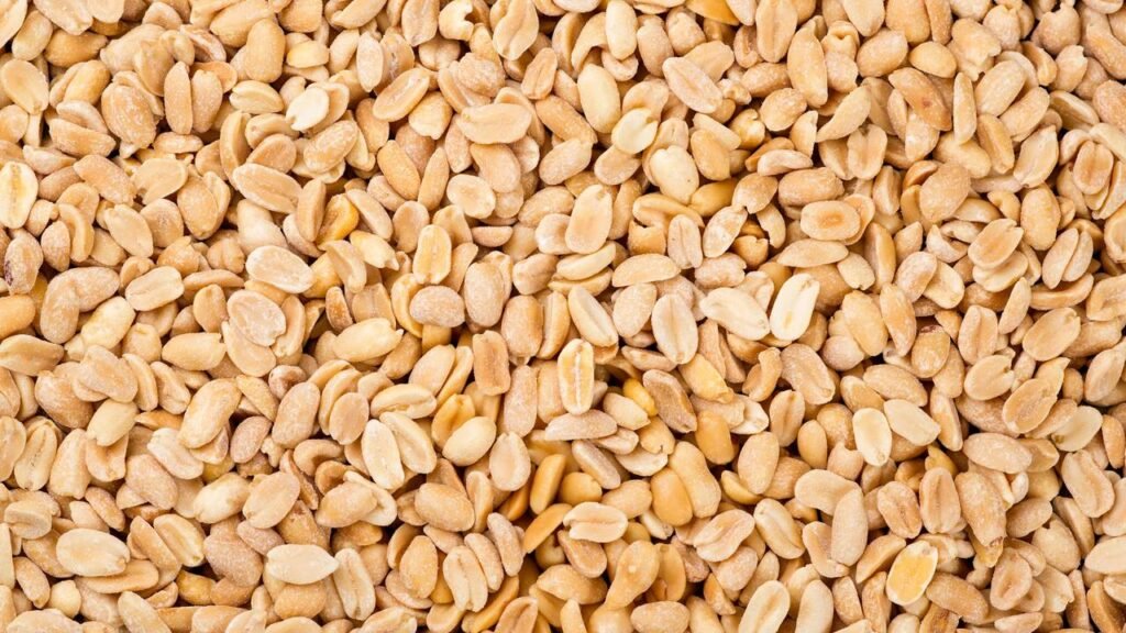 Comer amendoim todos os dias pode melhorar sua memória e foco segundo especialistas