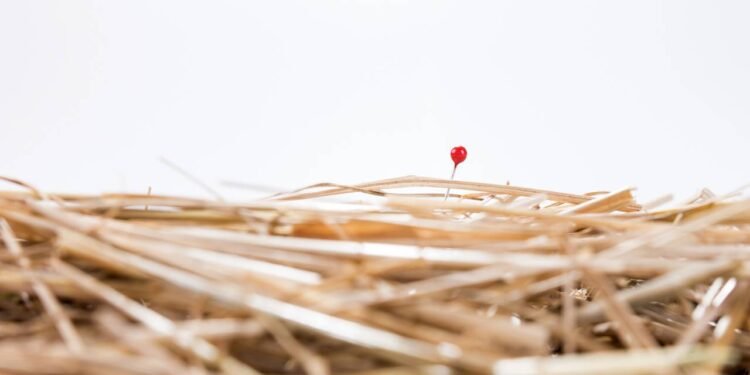 O significado do provérbio chinês que ensina a transformar crises em oportunidade em 2025