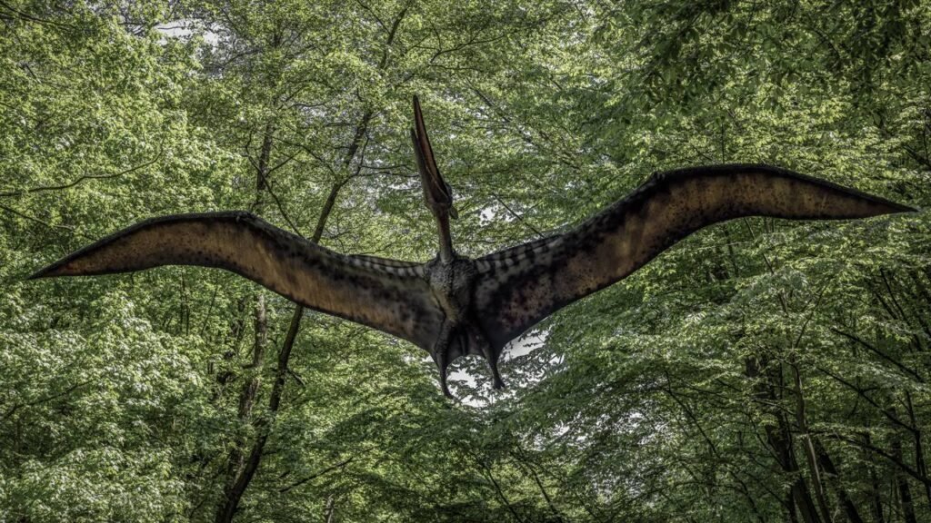 A descoberta incrível no Brasil que mostra como os cérebros dos pterossauros criaram sua forma de voar