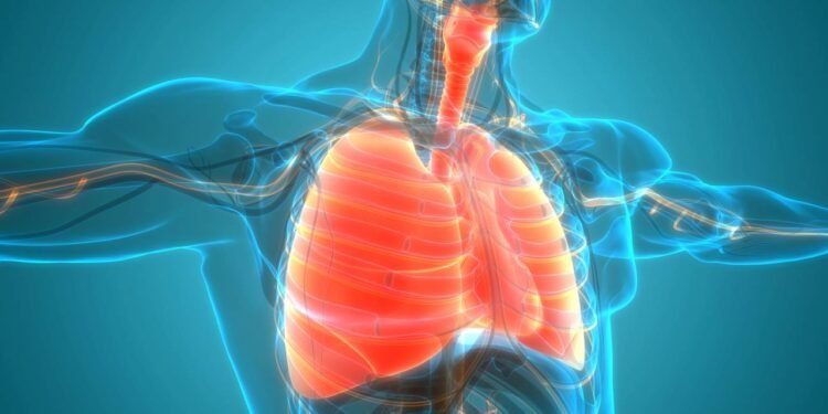 O que acontece no seu corpo quando você segura o espirro e o que você precisa saber