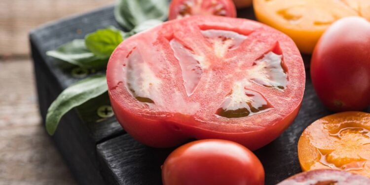 O tomate é um fruto versátil e vibrante, essencial em saladas, molhos e pratos cotidianos, repleto de frescor e sabor autêntico para refeições saudáveis. // Créditos: depositphotos.com / VadimVasenin