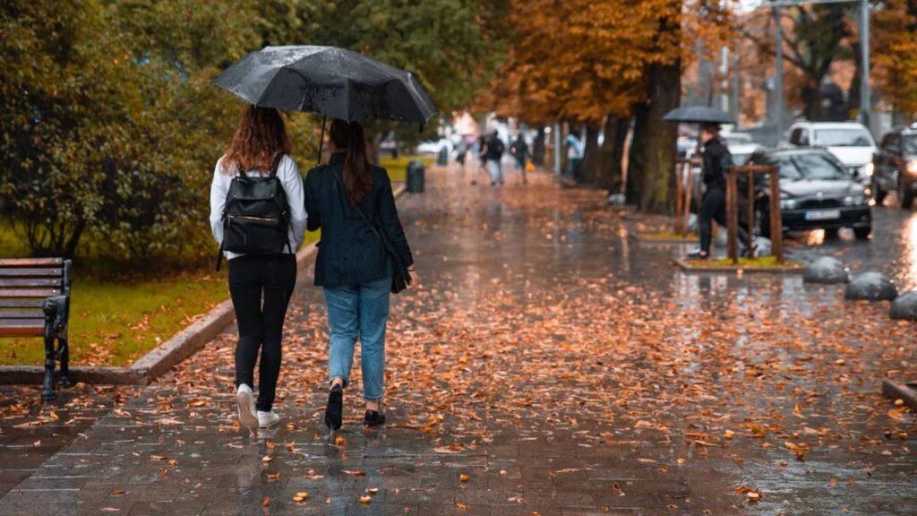 Poucos sabem por que as árvores “choram” antes de uma chuva forte