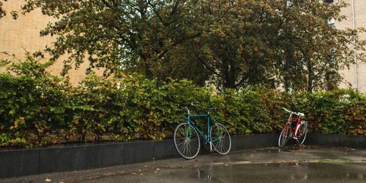 Em dias abafados, pouco antes de uma chuva intensa, algumas pessoas juram que as árvores parecem “chorar” - Créditos: depositphotos.com / AlexShadyuk