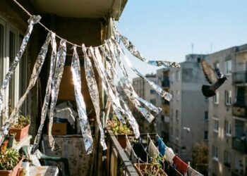 Papel alumínio na janela: o truque simples para espantar pombos