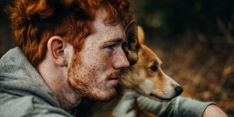 O que significa 'Homo homini lupus', a frase que mostra o lado sombrio da natureza humana