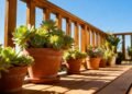 As plantas que sobrevivem ao calor extremo e deixam a varanda bonita e fresca