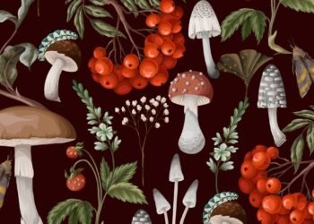 O cogumelo raro que provoca visões estranhamente específicas