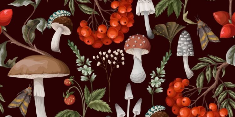 Cogumelo - Créditos: depositphotos.com / Yuli23