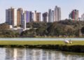 Capital do Paraná se destaca por mobilidade inteligente e alta qualidade de vida urbana