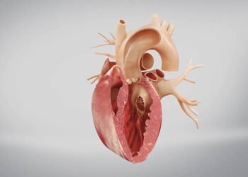 Os sintomas silenciosos que podem indicar risco cardíaco