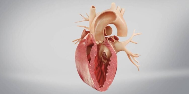 Doenças Cardiovasculares - Créditos: depositphotos.com / scienceanm