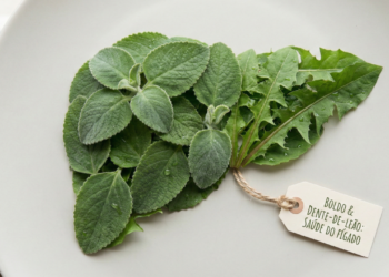 A erva tradicional brasileira conhecida por ajudar na limpeza do organismo (boldo e dente-de-leão são amplamente estudados por efeitos sobre o fígado e função digestiva.)