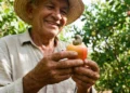 A fruta tradicional do Nordeste que hidrata, nutre e ainda fortalece a imunidade