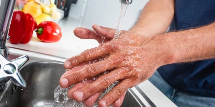 Higienização dos Alimentos - Créditos: depositphotos.com / AndrewLozovyi