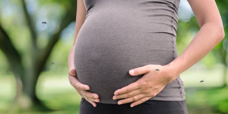 Microcefalia - Créditos: depositphotos.com / parinyabinsuk