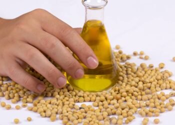 A verdade pouco falada sobre o óleo de soja na cozinha