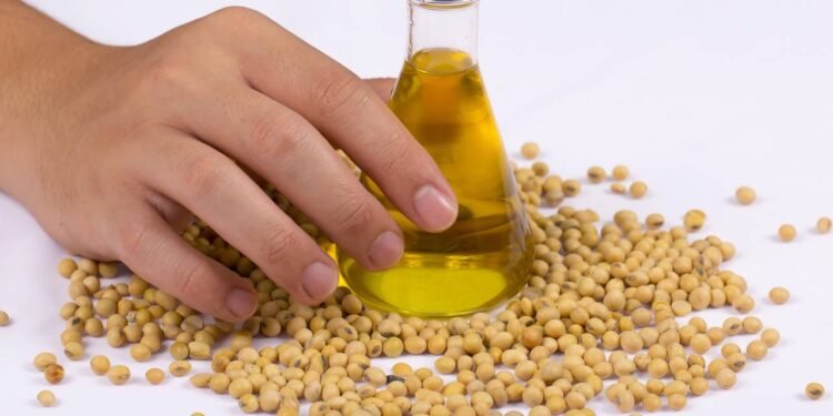Óleo de Soja - Créditos: depositphotos.com / zariam74
