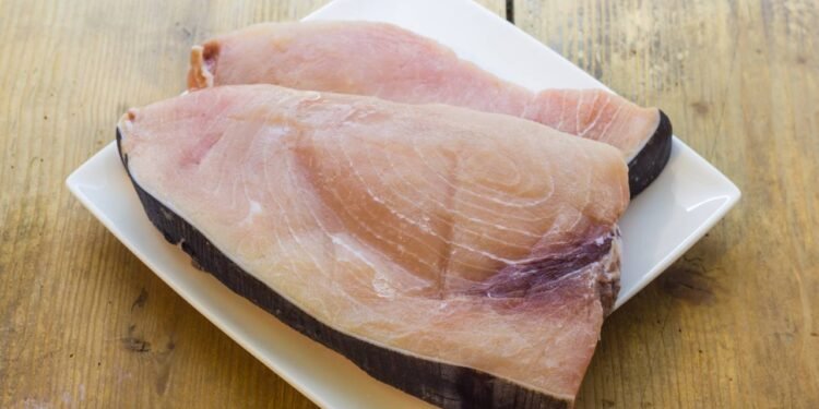 Peixe-espada - Créditos: depositphotos.com / fpwing_c