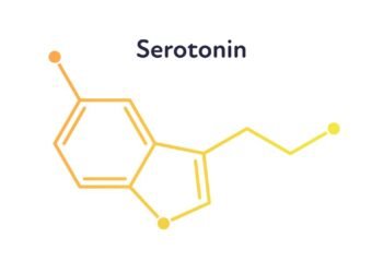 O desequilíbrio químico que afeta humor sono e apetite