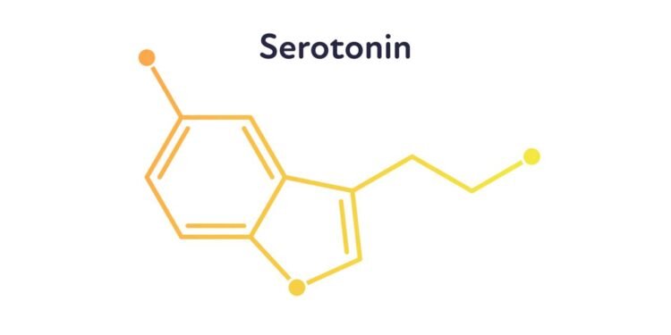 Serotonina - Créditos: depositphotos.com / Tasty_Cat