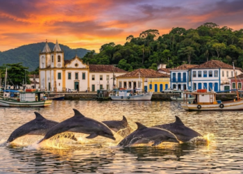 Fundada em 1531, um dos povoados mais antigos do Brasil protege golfinhos e belezas naturais em um verdadeiro paraíso de São Paulo