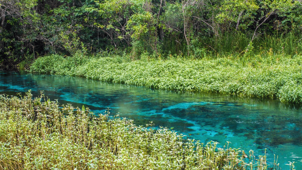 O paraíso de águas cristalinas que hipnotiza com sua beleza exuberante perfeito para quem busca natureza bruta