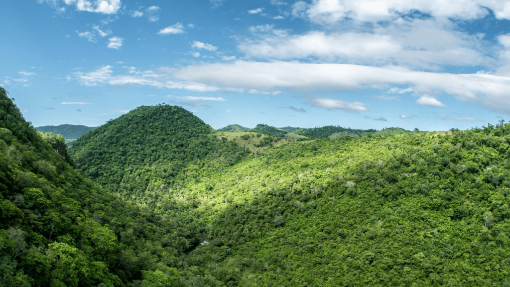 O paraíso de águas cristalinas que hipnotiza com sua beleza exuberante perfeito para quem busca natureza bruta
