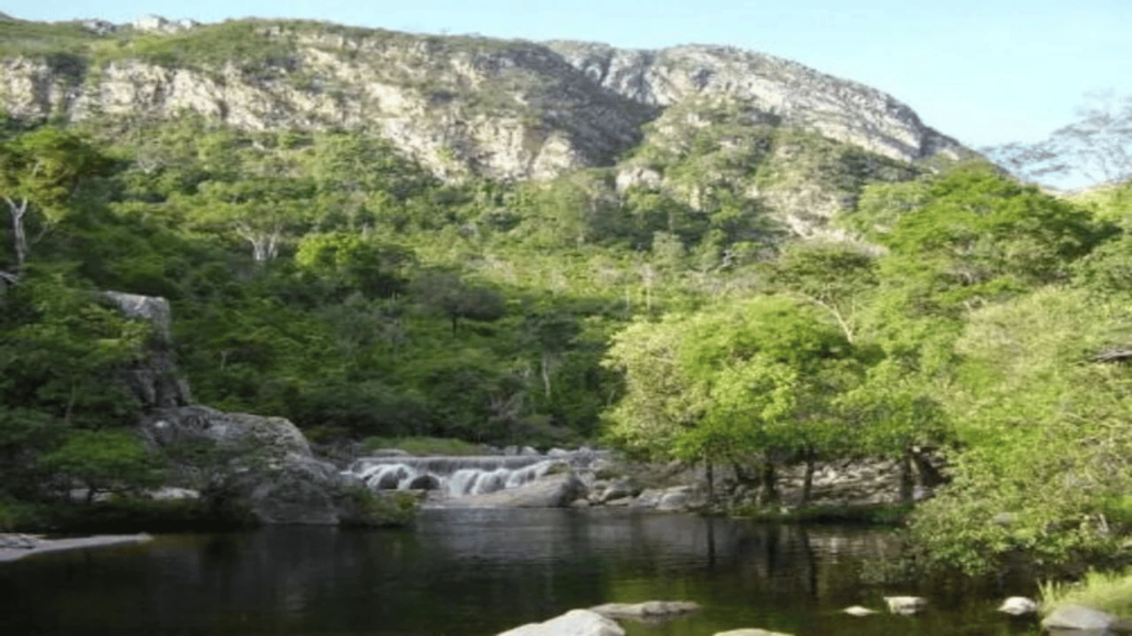 A "Cidade do Diamante Negro" em Minas Gerais que está chamando a atenção pelos tesouros europeus ainda encontrados