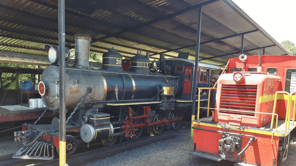 Entre flores, frio e águas quentes, essa cidade de Santa Catarina se destaca como refúgio perfeito