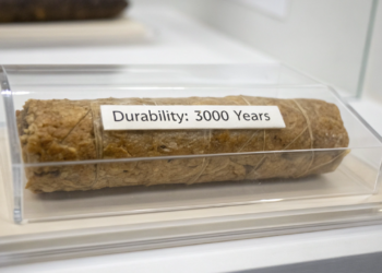 O alimento que dura 3 mil anos sem estragar e você provavelmente tem em casa