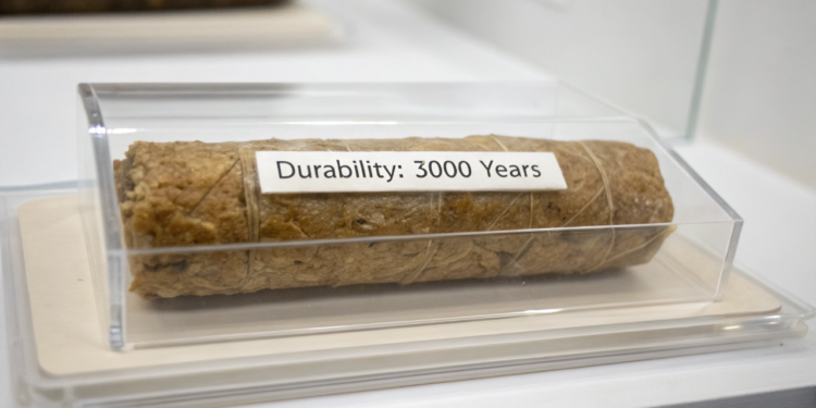 O alimento que dura 3 mil anos sem estragar e você provavelmente tem em casa