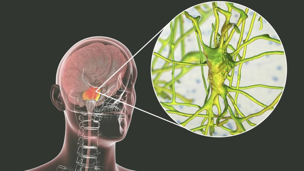 Se você toma decisões e se arrepende, é indeciso ou se sente "perdido", então a ciência pode explicar o motivo
