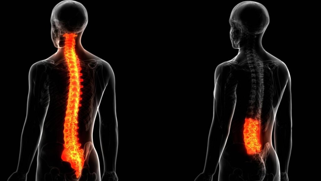 Nem remédios, nem equipamentos: os exercícios simples para aliviar dores na lombar perfeitos para fazer em casa