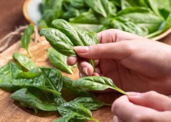 Hortaliça que fortalece ossos, visão e digestão e ainda pode ser plantada em casa