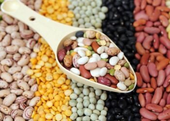 Os tipos de feijão mais saudáveis ​​para adicionar às suas refeições e obter mais fibras e proteína
