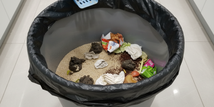 Areia de gato no fundo da lixeira: a solução para o "suco" de lixo