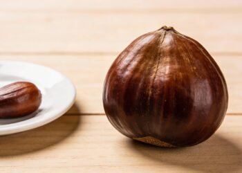 Essa castanha virou hábito em lanches por unir saciedade, sabor e nutrientes essenciais